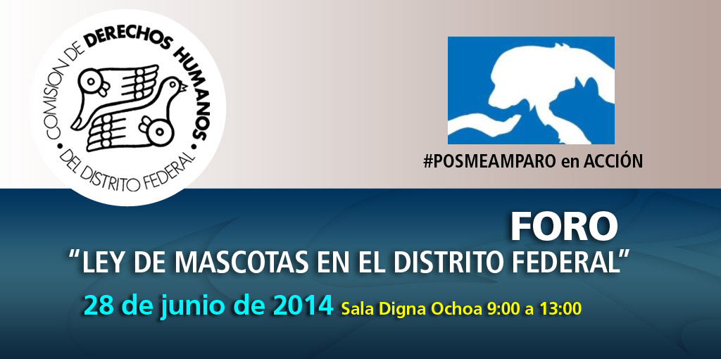 Foro ¨Ley de Mascotas en el Distrito Federal¨ @ Comisión de Derechos Humanos del Distrito  Federal | Ciudad de México | Distrito Federal | México