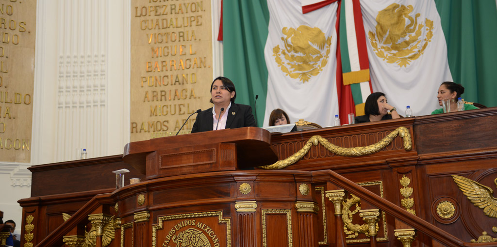 Comparecencia de la Doctora Perla Gómez Gallardo Presidenta de la CDHDF ante la Comisión de Presupuesto de la ALDF @ ALDF