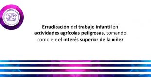 Boletín 21/2022 Erradicación del trabajo infantil en actividades agrícolas peligrosas, tomando como eje el interés superior de la niñez