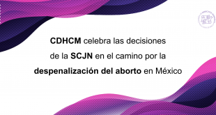 Boletín CDHCM celebra las decisiones de la SCJN en el camino por la despenalización del aborto en México