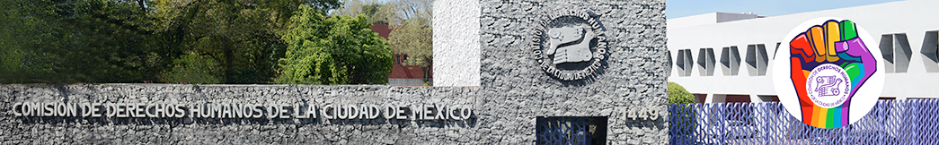 Comisión de Derechos Humanos de la Ciudad de México