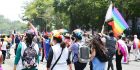 Galería: CDHCM acompaña segunda edición de la Marcha Lencha