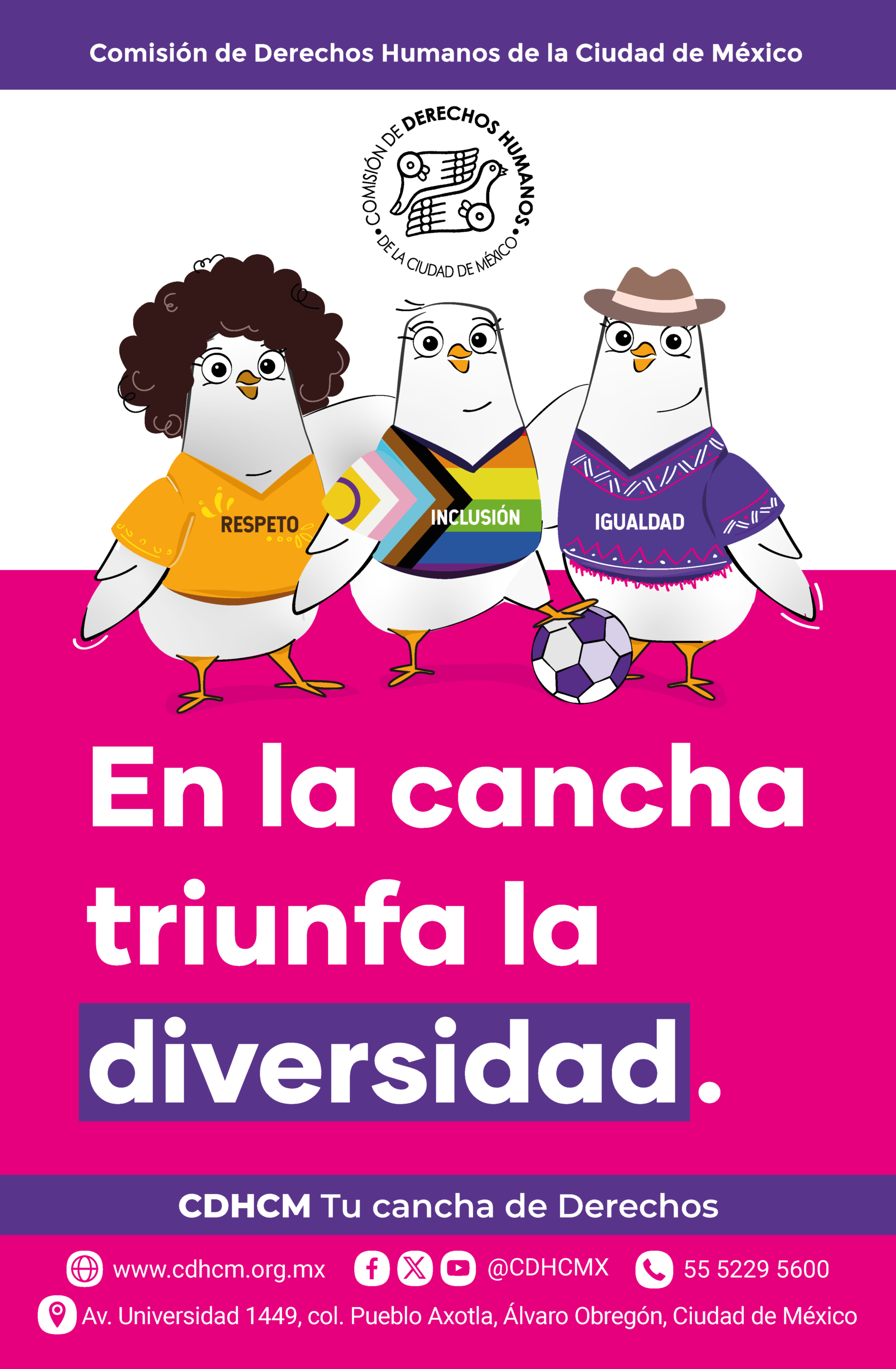 Diversidad