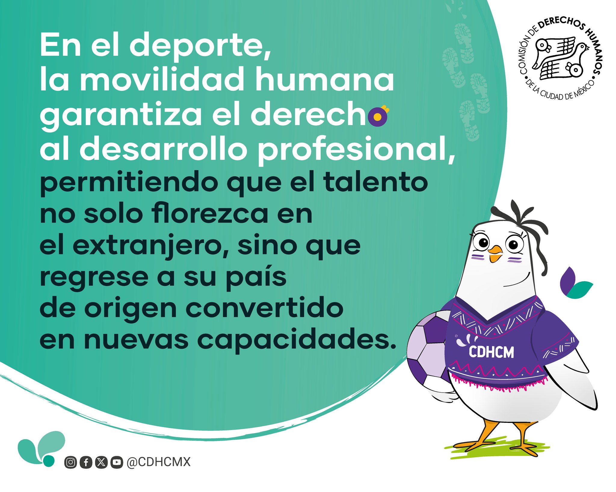 Desarrollo